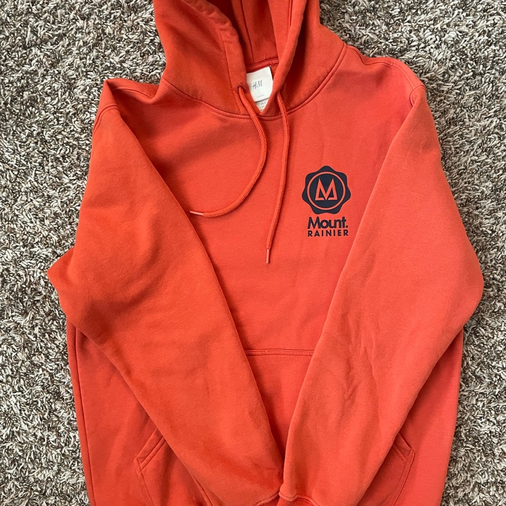 H&M Mount Rainer hoodie - Picture 9 of 11